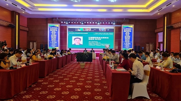 Kết nối hợp tác kinh tế và thương mại giữa doanh nghiệp Việt Nam với doanh nghiệp Trung Quốc
