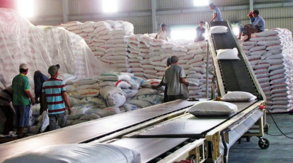 Giá gạo xuất khẩu tăng 10 USD/tấn