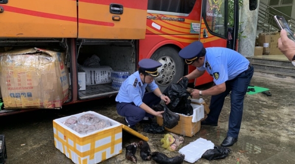 Bắt giữ ô tô vận chuyển cá thể động vật hoang dã tại Quảng Bình