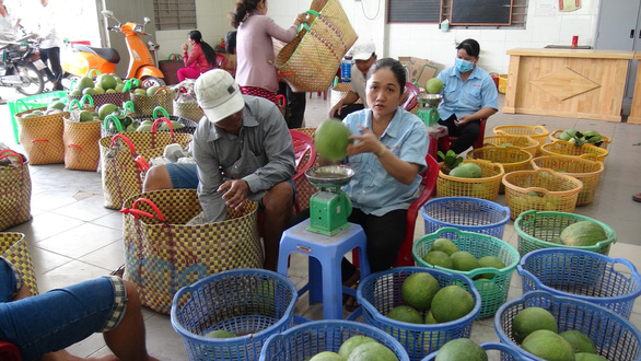 8 nông sản Việt giá trị tỷ USD xuất khẩu nhiều nhất sang Mỹ