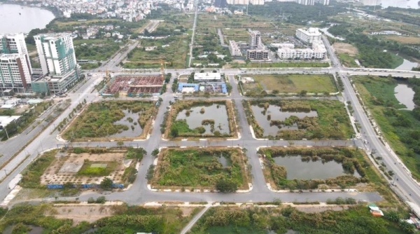 TP. Hồ Chí Minh thanh tra đột xuất 15 đơn vị sử dụng đất