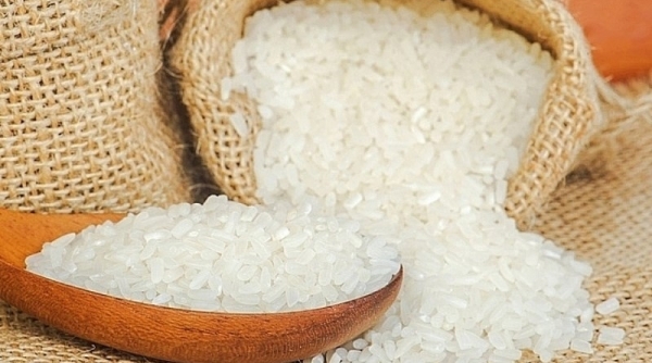 Gạo xuất khẩu giá tốt vì Việt Nam nhiều giống lúa mới, chất lượng và có nhiều thị trường lựa chọn