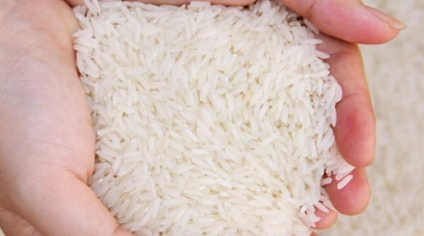 Dự báo, giá gạo Việt Nam những tháng đầu năm 2023 tiếp tục giữ mức cao