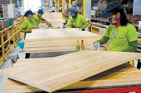 Dự báo Australia, Canada, Trung Đông được đánh giá là thị trường tiềm năng cho ngành gỗ