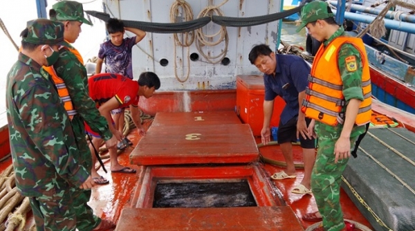 Thu giữ hơn 17 nghìn lít dầu DO không rõ nguồn gốc tại tỉnh Cà Mau