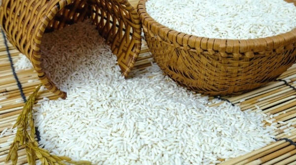 Nhu cầu mua gạo Việt Nam vẫn tăng mạnh, giá gạo xuất khẩu tăng 15 USD/tấn