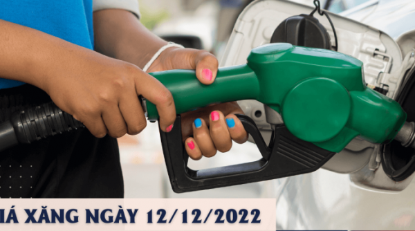Kỳ điều hành giá xăng dầu ngày 12/12, có thể giảm mạnh ở mức 1.200-1.500 đồng/lít