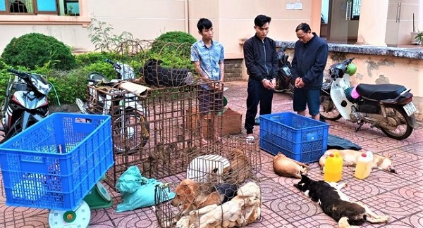 Triệt phá ổ nhóm trộm 03 tấn chó liên tỉnh