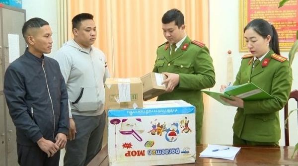 Thu giữ gần 35kg pháo hoa nổ tại Ninh Bình