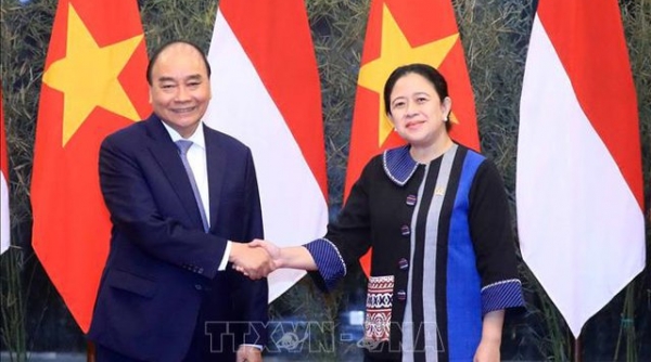 Việt Nam sẽ tích cực ủng hộ Indonesia đảm nhận thành công vai trò Chủ tịch ASEAN