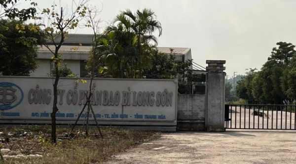 Có hành vi chiếm đất nông nghiệp, Bao bì xi măng Long Sơn bị UBND tỉnh Thanh Hoá xử phạt