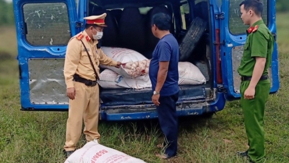 Liên tiếp bắt giữ các trường hợp vận chuyển mỡ động vật không rõ nguồn gốc tại Quảng Nam