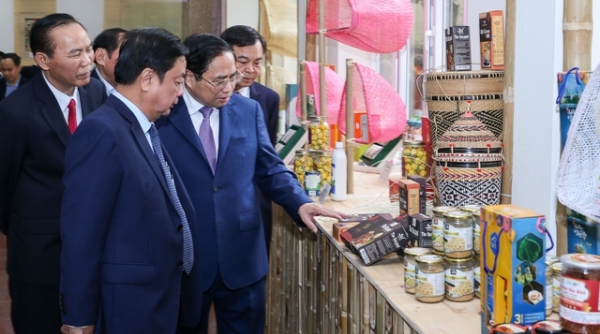 Thủ tướng Chính phủ yêu cầu ngành nông nghiệp xây dựng thương hiệu, quy hoạch phát triển vùng nguyên liệu