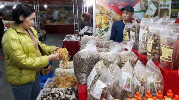 Hội chợ nông sản thực phẩm Tết Nguyên đán Quý Mão năm 2023 thu hút 130 đơn vị tham gia