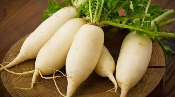 Củ cải Hà Giang được xuất khẩu sang thị trường Nhật Bản