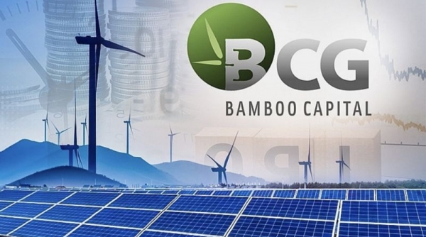 Nhiều hạng mục kinh doanh quan trọng bị suy giảm doanh thu Bamboo Capital báo lỗ gần 339 tỷ