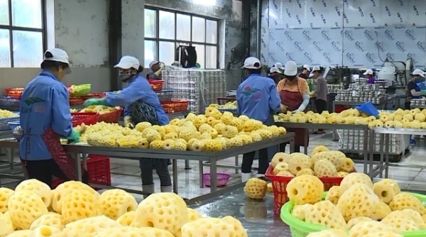Cơ hội giao thương hàng nông sản và thực phẩm chế biến Việt Nam - Ấn Độ