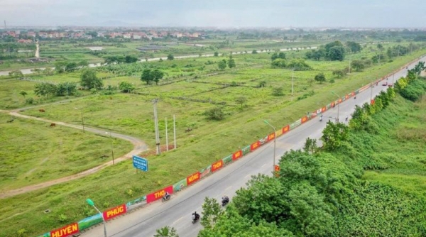 Huyện Phúc Thọ (Hà Nội): Năm 2023 dự kiến tổ chức đấu giá 17 khu đất với tổng diện tích 59.102m2