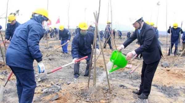 Quảng Ninh phấn đấu trồng 12.000 ha rừng năm 2023