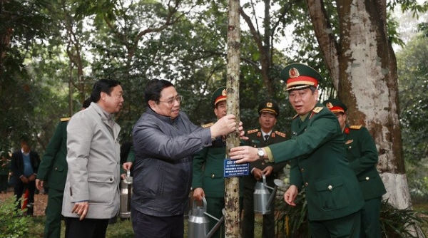 Thủ tướng kêu gọi nhân dân hăng hái tham gia trồng cây ngay từ những ngày đầu xuân