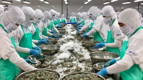 Thêm 23 doanh nghiệp Việt Nam được phép xuất khẩu thủy sản vào thị trường Trung Quốc