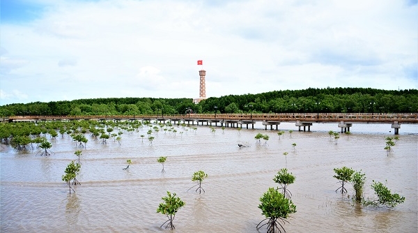 Cà Mau phê duyệt kế hoạch sử dụng đất của huyện Ngọc Hiển năm 2023