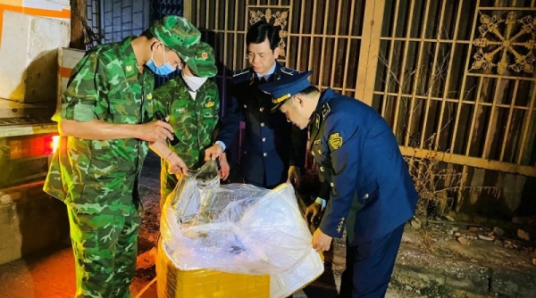 Quản lý thị trường Quảng Trị bắt giữ 1,7 tấn lòng lợn không đảm bảo an toàn thực phẩm trên đường đi tiêu thụ