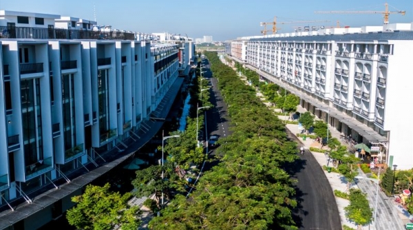 TP. Hồ Chí Minh có 138 dự án hết hạn đầu tư, 30 dự án ngưng thi công