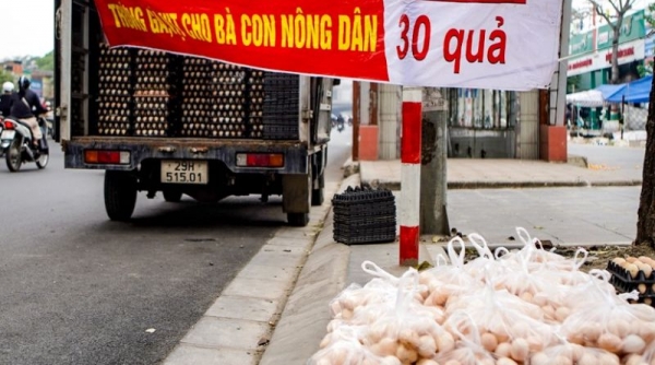 Cần xác minh làm rõ nguồn gốc số trứng gà, vịt đang bán giải cứu ở Hà Nội