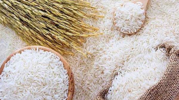 Giá gạo tăng trở lại, tăng 100 đồng/kg