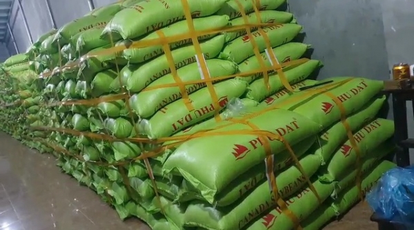 Hà Nội tạm giữ hơn 40 tấn hạt đậu tương giả nhãn hiệu