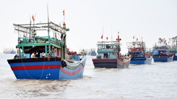 WTO mong Việt Nam là nước đầu tiên phê chuẩn Hiệp định nghề cá