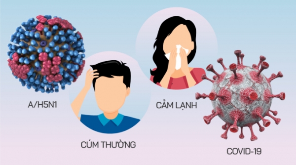Cần Thơ tăng cường giám sát cúm A (H5N1) và bệnh viêm phổi nặng do virus