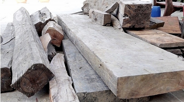 Tạm giữ 40 khúc gỗ nghi nhập lậu tại An Giang