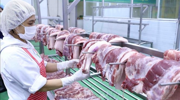 Xuất khẩu thịt của Việt Nam sụt giảm mạnh trong những tháng đầu năm