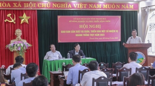 Thanh Hoá triển khai nhiệm vụ trọng tâm lĩnh vực trồng trọt năm 2023