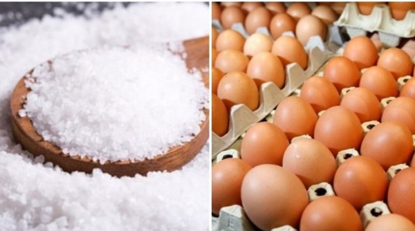 Quy định về việc áp dụng hạn ngạch thuế quan nhập khẩu muối, trứng gia cầm năm 2023