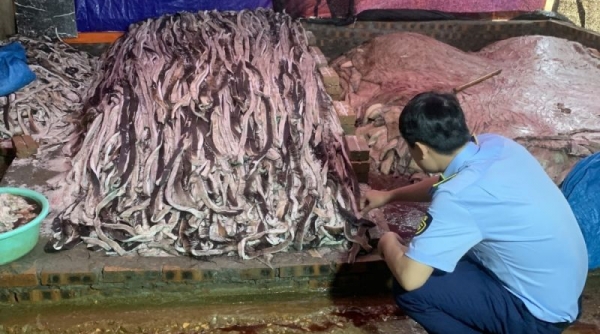 Phát hiện và xử lý 1,6 tấn da trâu tươi bốc mùi hôi thối tại Hưng Yên