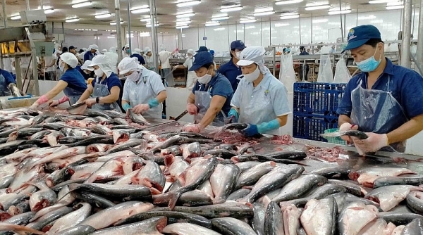 Xuất khẩu cá tra sang thị trường Brazil sụt giảm rất mạnh trong hai tháng đầu năm