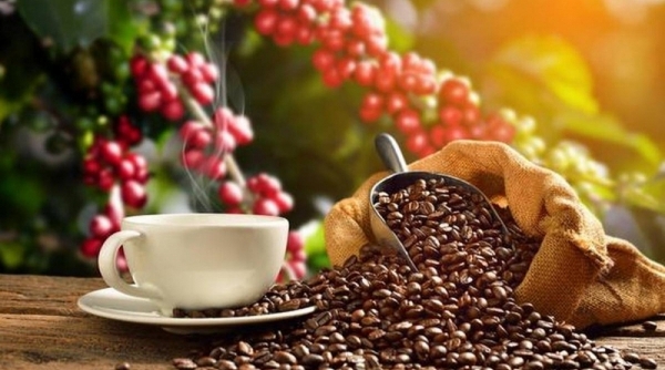 Việt Nam giữ vững vị trí nước xuất khẩu cà phê nhân lớn thứ hai thế giới