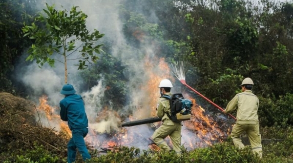 Kon Tum tăng cường kiểm tra công tác phòng cháy chữa cháy rừng, xử lý nghiêm các trường hợp vi phạm