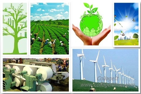 Chiến lược “xanh hóa” nền kinh tế là xu thế tất yếu để phát triển bền vững