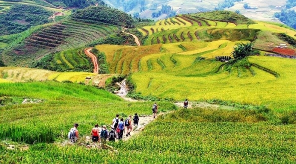 8 tỉnh vùng Đông Bắc liên kết với TP. Hồ Chí Minh giới thiệu sản phẩm văn hóa du lịch