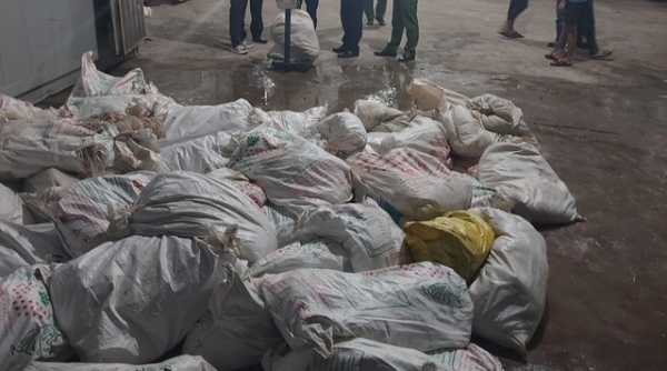 Bắc Ninh: Tiêu hủy hơn 7 tấn nội tạng lợn chưa qua sơ chế, bốc mùi