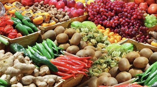 Việt Nam đăng cai tổ chức Hội nghị toàn cầu lần thứ 4 hệ thống lương thực, thực phẩm bền vững