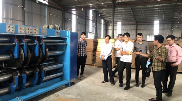 Bình Định: Hỗ trợ doanh nghiệp sản xuất bao bì carton