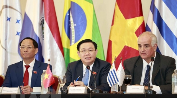 Việt Nam và Mercosur thúc đẩy thương mại công bằng và bền vững