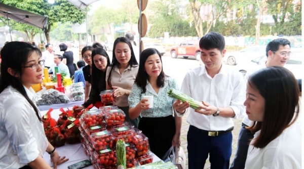 Bắc Ninh tập trung tháo gỡ khó khăn, thúc đẩy sản xuất, tiêu thụ nông sản