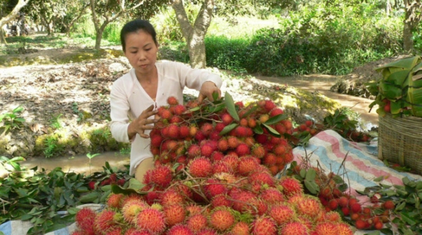 Xúc tiến mở cửa thị trường nông sản Việt Nam - Nhật Bản