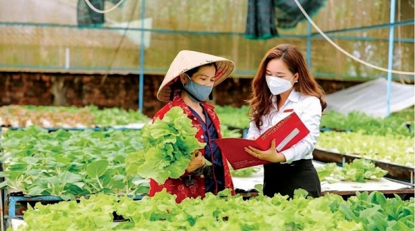 Agribank góp phần nâng tầm nông sản Việt